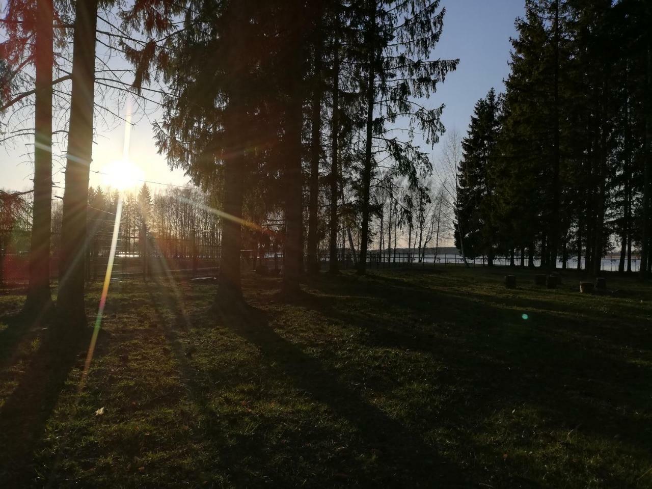 Birzai Camping Zewnętrze zdjęcie